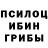 Псилоцибиновые грибы Cubensis Ivan Sharonov