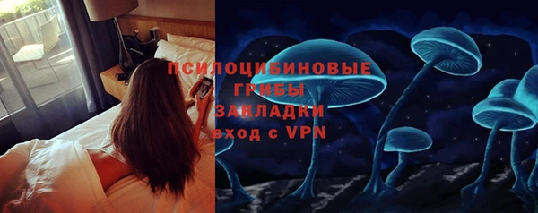 гидропоника Алзамай
