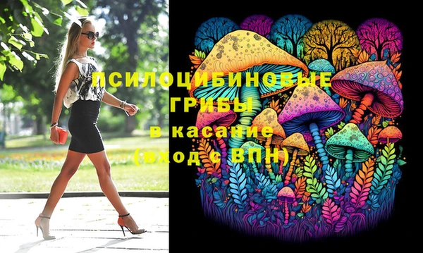 гидропоника Алзамай