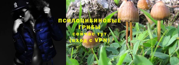 сатива Алексеевка