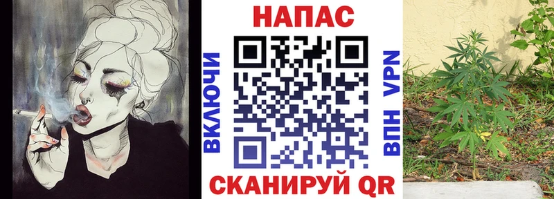 Бошки Шишки THC 21%  даркнет сайт  МЕГА tor  Апшеронск 